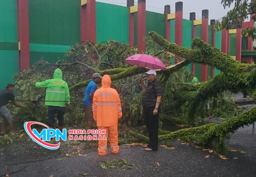 Gerak Cepat DLH dan BPBD Tangani Pohon Tumbang di Stadion Gelora Bangkalan